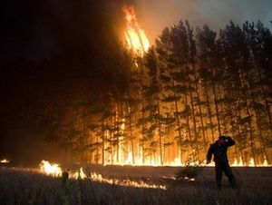 Несложные правила поведения при пожаре в лесу помогут сохранить жизнь