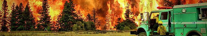 Урок Лесные пожары - это бедствие