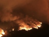 В России из-за лесных пожаров ввели режим ЧП