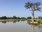В национальном парке Бенина убили гида и похитили двух туристов