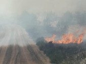 В Нидерландах на военном полигоне произошел пожар