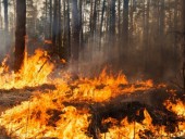 В двух регионах Сибири из-за лесных пожаров ввели чрезвычайное положение