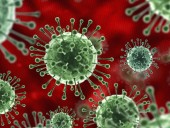Пандемия: COVID-19 в мире инфицировано более 35 млн человек