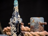 В Германии придумали эксклюзивный алкоголь с морскими жёлудями на бутылке