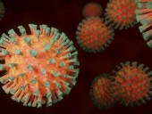 Еще в одном регионе Канады выявлен случай заражения новым штаммом коронавируса