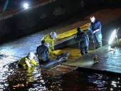 В шлюзе Темзы застрял детеныш кита: всю ночь его пытались освободить спасатели, после чего усыпили