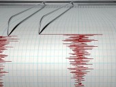 Землетрясение магнитудой 4,6 зафиксировано на юге Ирана