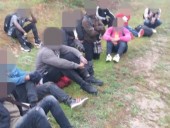 На границе с Литвой пограничники открыли огонь из-за сопротивления белорусских мигрантов