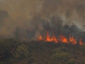 Лесные пожары в Испании: эвакуировали более 900 человек, есть погибший