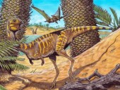 Не имел зубов: ученые обнаружили новый вид динозавра, останки которого нашли в Бразилии