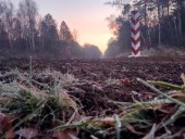 Мигранты снова прорывались через белорусско-польскую границу: Польша говорит, их задержали