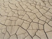 19 млн человек страдают от засухи: в Южной Калифорнии объявлено чрезвычайное положение