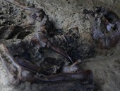 На пляже в Италии обнаружили человеческий скелет, которому почти 2 тысячи лет