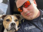 Должны были усыпить, но не сделали этого, теперь он спасает жизни: в США собаке вручили награду “Герой правоохранительных органов 2021”