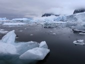 Опасность от инвазивных видов: ученые назвали угрозу от судоходства для Антарктиды