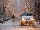 В Токио впервые за 4 года выпал снег, более 50 человек пострадали