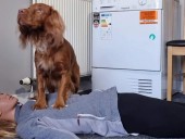 В Шотландии собаку научили делать сердечно-легочную реанимацию